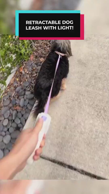 Retractable Cat and Dog Leash And Collar
