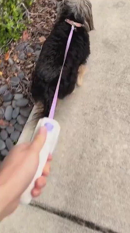 Retractable Cat and Dog Leash And Collar
